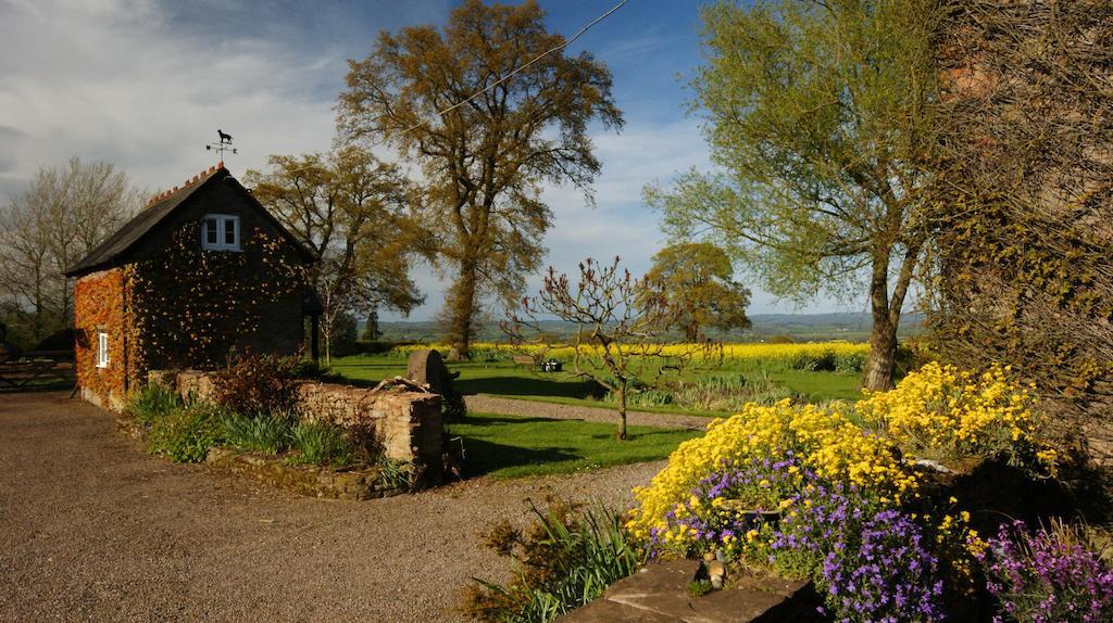 Bed and Breakfast Hills Farm Лемінстер Екстер'єр фото
